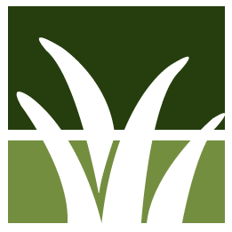 Hayward Lawn Clean Up
