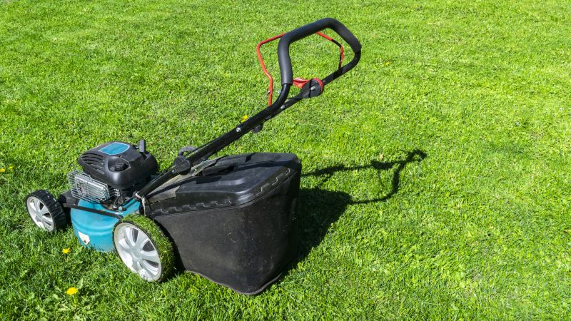 Storm debris clearing