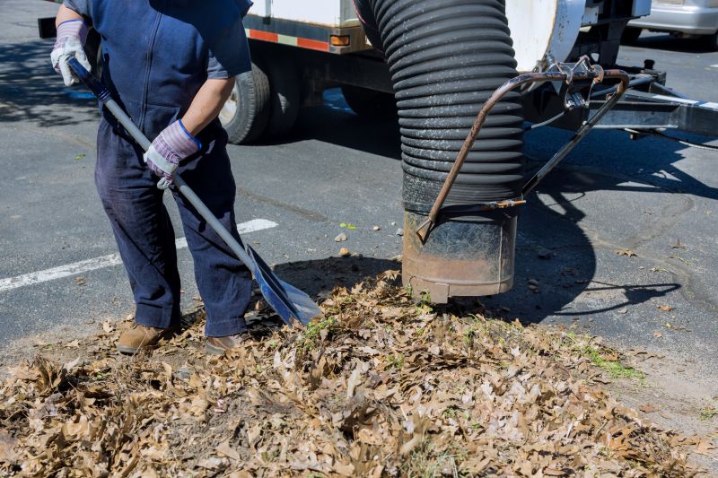 Leaf Clearing Services