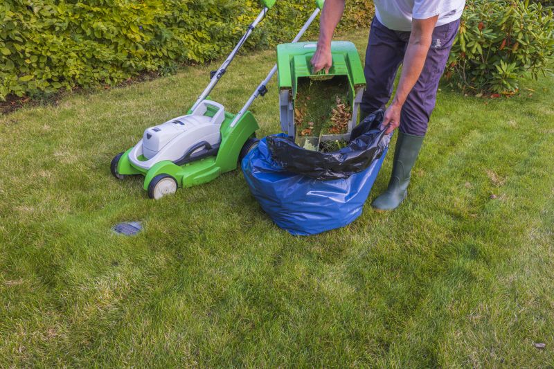 Professional Lawn Care Experts