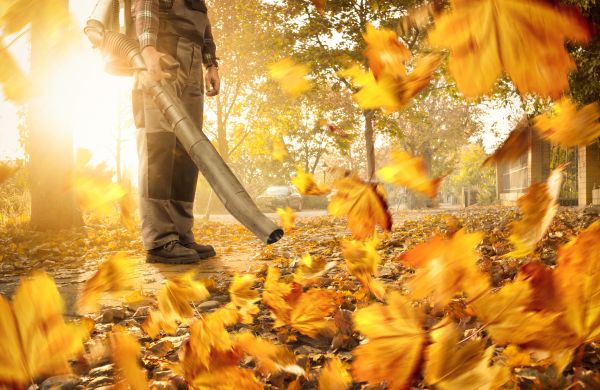 Leaf Blowing Service in Hayward