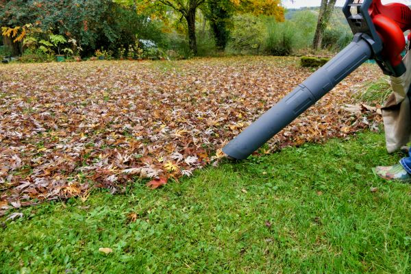 Leaf Vacuuming Service in Hayward
