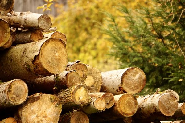 Wood Pile Removal in Hayward