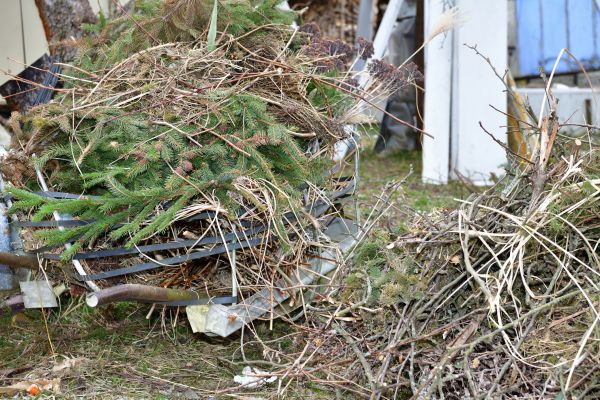 Yard Debris Removal in Hayward