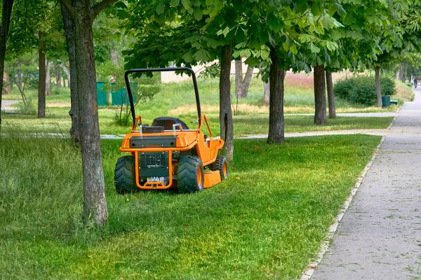 Landscaping Cleanup Service in Hayward