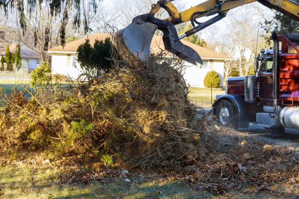 Storm Debris Removal in Hayward