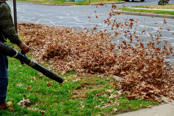 Garden Leaf Removal in Hayward