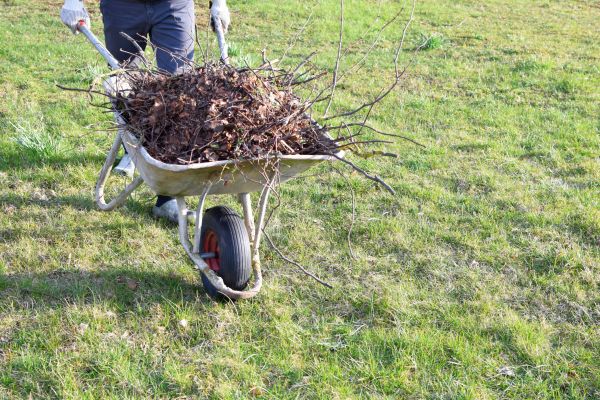 Yard Brush Removal in Hayward