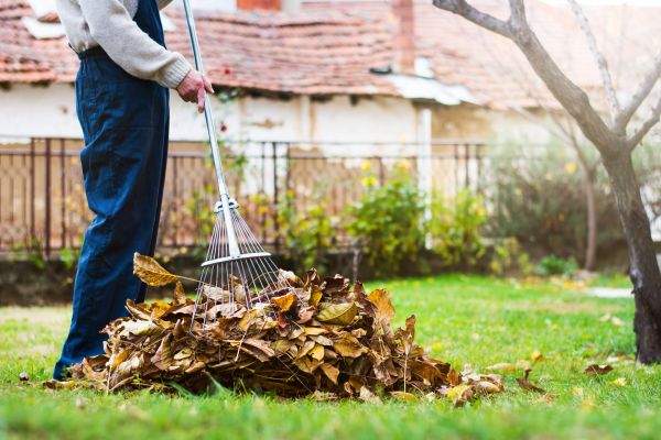 Spring Lawn Cleanup in Hayward