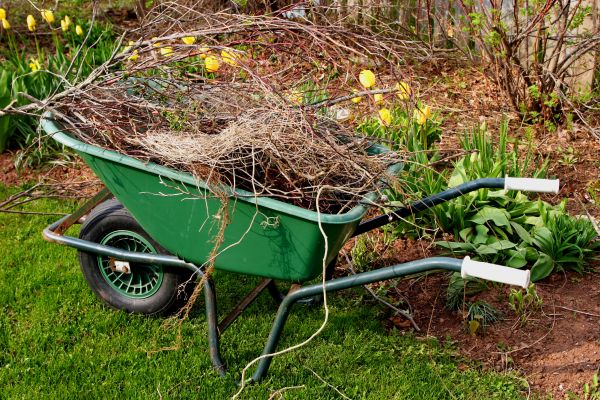 Lawn Waste Removal in Hayward