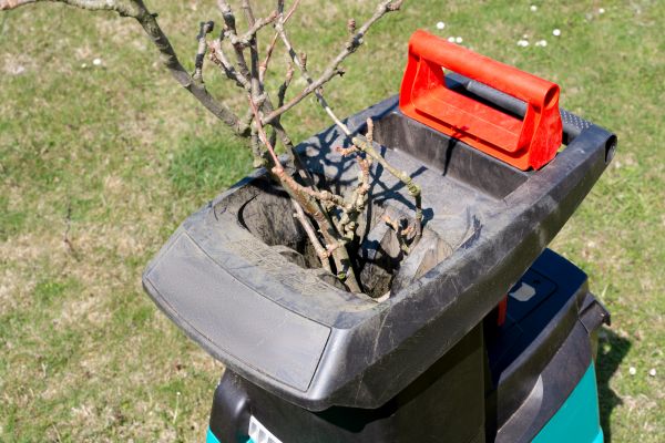 Brush Cleanup Service in Hayward