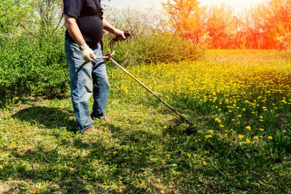 Cost of Yard Clearing Service in Hayward