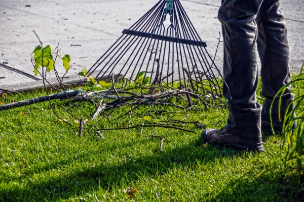 Yard Debris Cleanup in Hayward