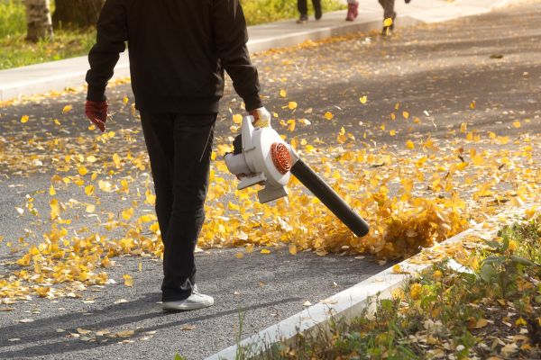 Commercial Leaf Removal in Hayward